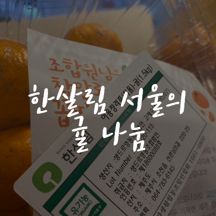 [후원] 한살림 서울의 새콤달달 귤 나눔